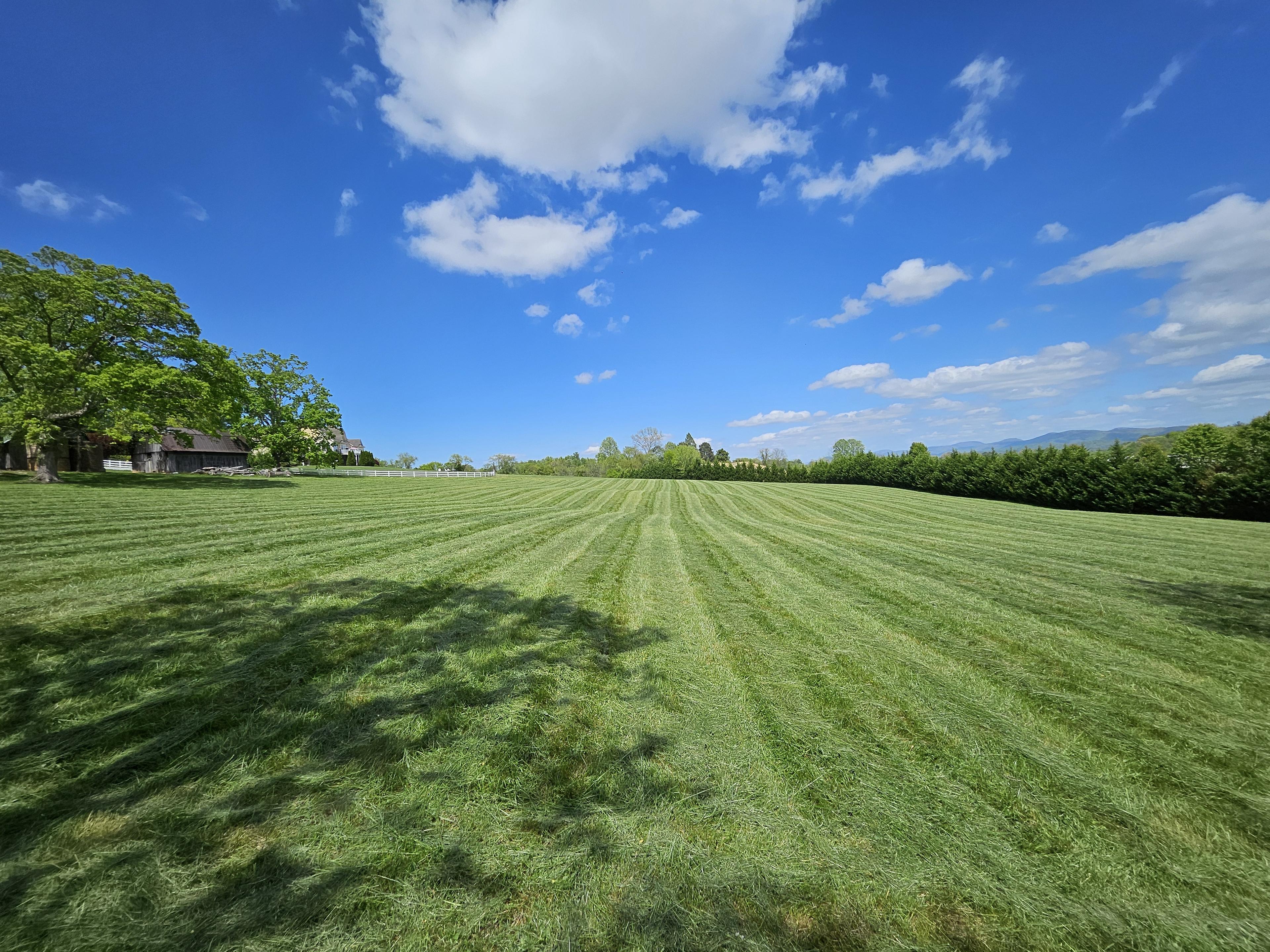Green Sneakers project 1